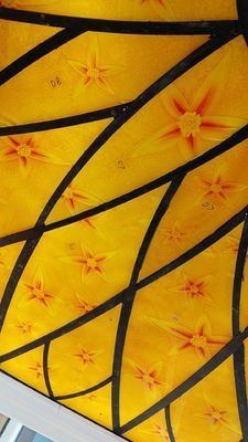 Il soffitto 12mm Scratchproof arancio ha colorato i pannelli di vetro