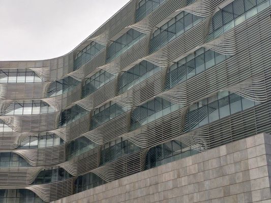 Il giro orla irregolare rete i pannelli di vetro laminati di 0.38MM