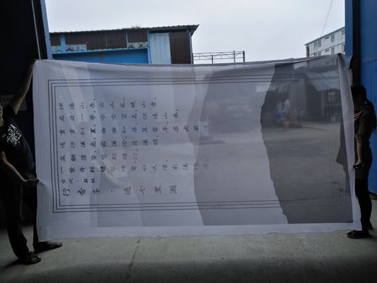 Lo schermo all'aperto ha indurito il vetro laminato decorativo di 3mm