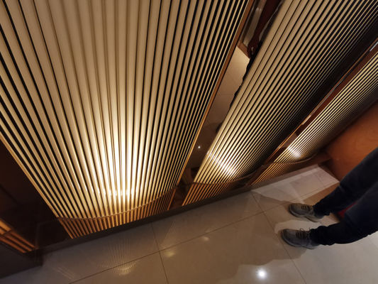 Vetro fuso decorativo retroilluminato dimensionale 1sqm della cabina 3